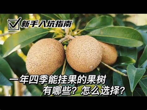 北部適合種的水果|7種懶人必種北部果樹